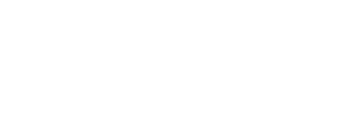 codewild white logo